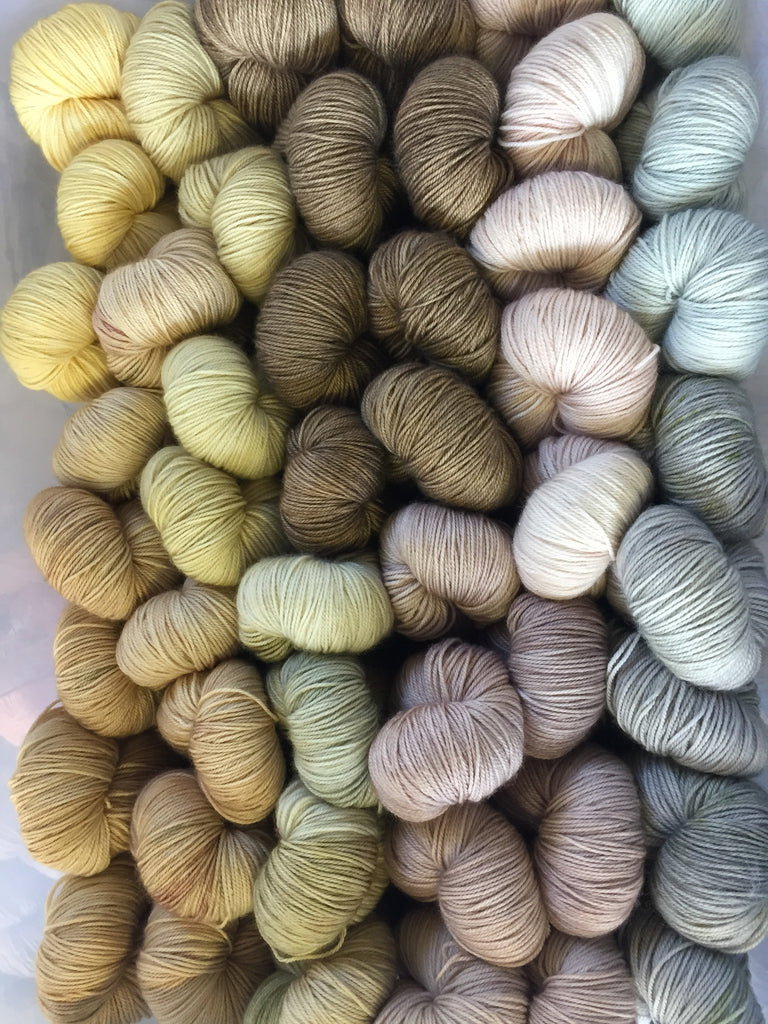 Welcome to the shiny new ECY website!