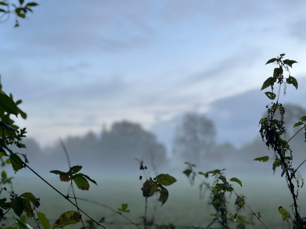 ECY monthly round up: October 2023