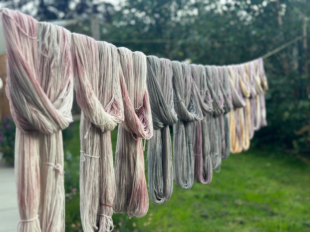 July 2024 - a general update of what's on at ECY