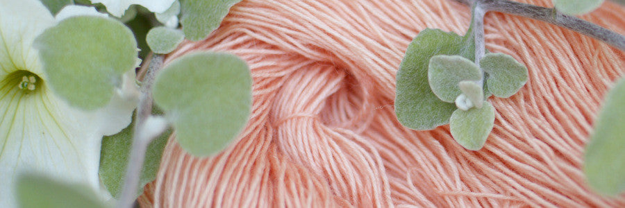 July update: behind the scenes