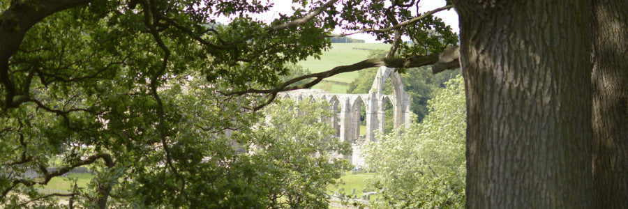 Bolton Abbey
