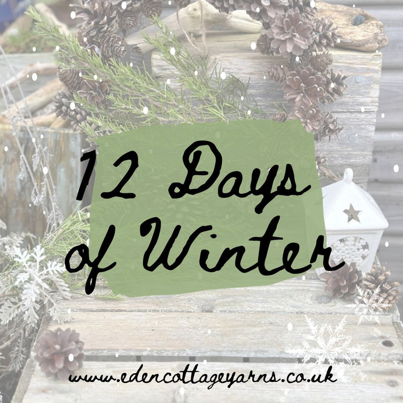 An image of a festive wreath and foliage with snowy filter over the top. Over the top is "12 Days of Winter" in handwritten effect text