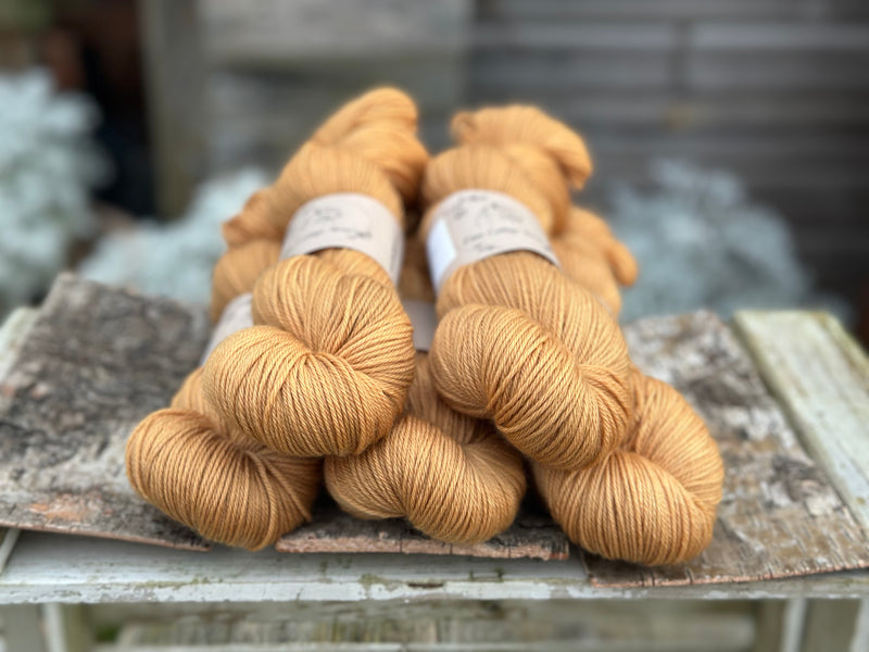 Pendle Sport in Falling Leaves (Dyelot 270825)