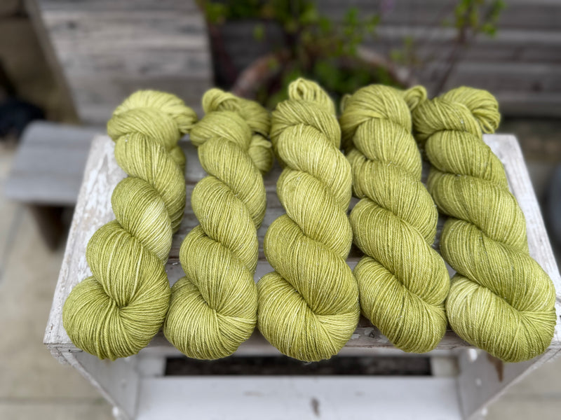 Silverdale 4ply in Fern (Dyelot 100926)