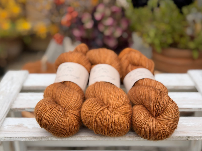 Brimham 4ply in Twig (Dyelot 220926)
