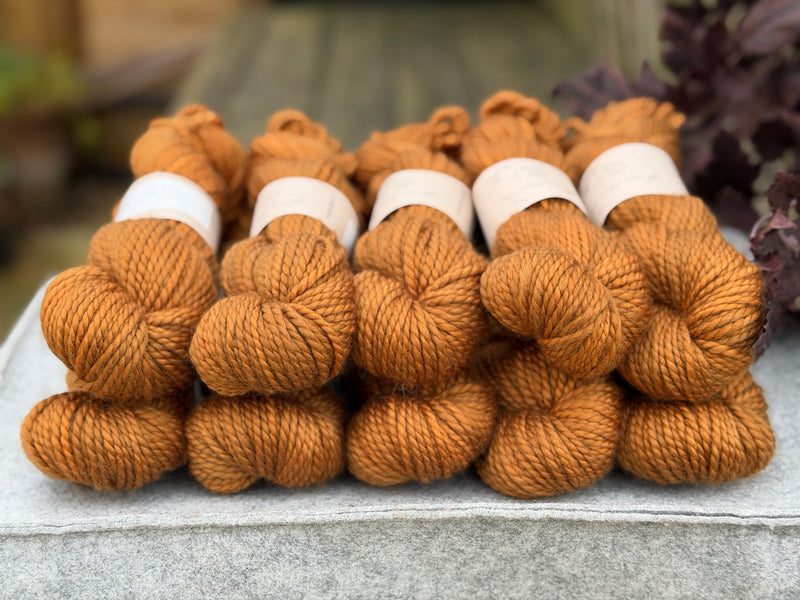 Pendle Chunky in Twig (Dyelot 151026)