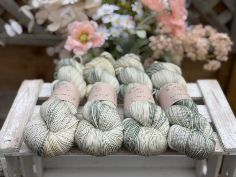 Brimham 4ply in Dyepot Luck (Dyelot 230726)
