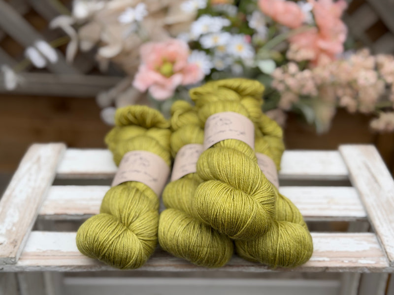 Titus 4ply in Fern (Dyelot 220726)