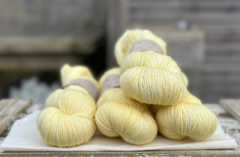Pendle 4ply in Daffodil (dyelot 100225) - 100% superwash merino