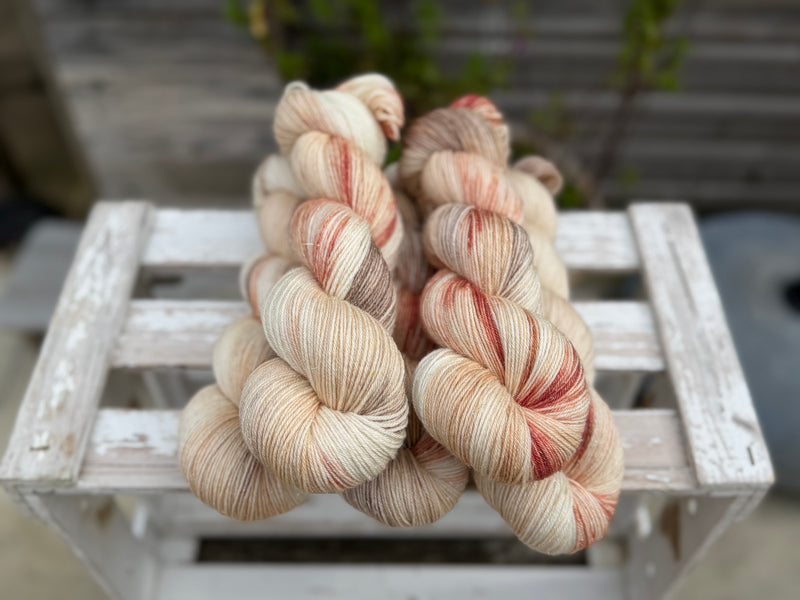 Silverdale 4ply in Dyepot Luck (Dyelot 100926)