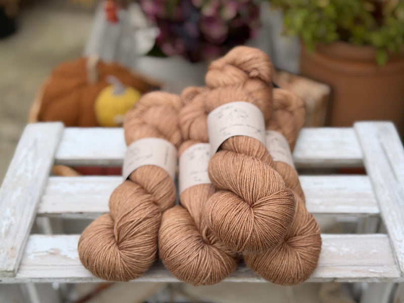 Titus 4ply in Twig (Dyelot 080926)
