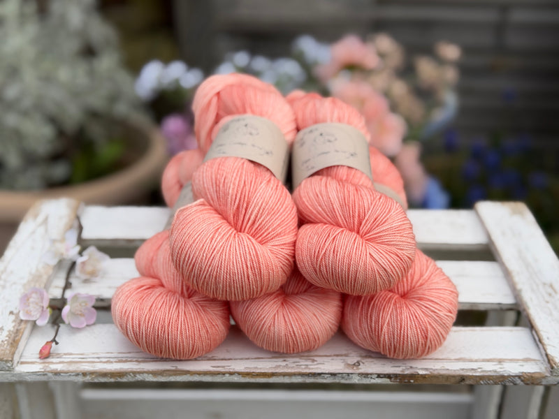 Brimham Bio 3ply in Apricot Tulip (Dyelot 050426)