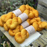 Titus 4ply in Marigold (Dyelot 200224)