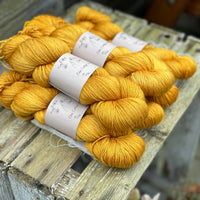 Titus 4ply in Marigold (Dyelot 200224)
