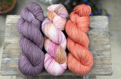 Three colour hand dyed Brimham 4ply weight yarn pack - Aquilegia