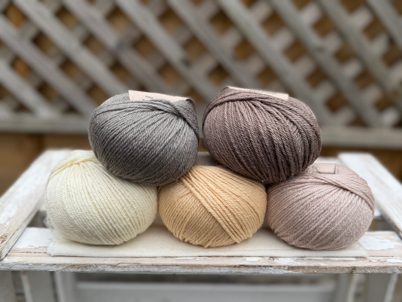 Five colour Milburn DK yarn pack - Warm Neutrals (250g)