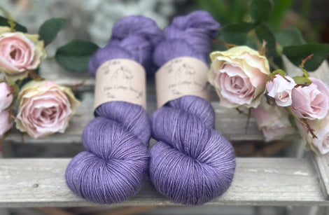 Titus 4ply in Lobelia (Dyelot 260825)
