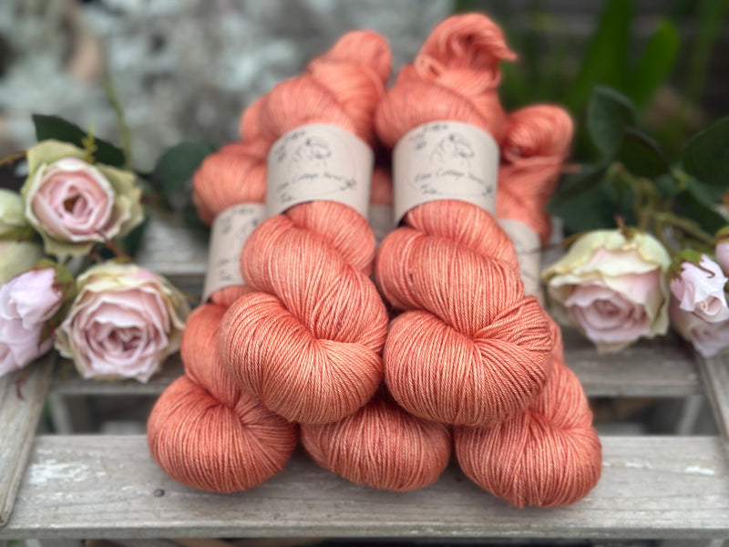 Titus 4ply in Bog Myrtle (Dyelot 260825)