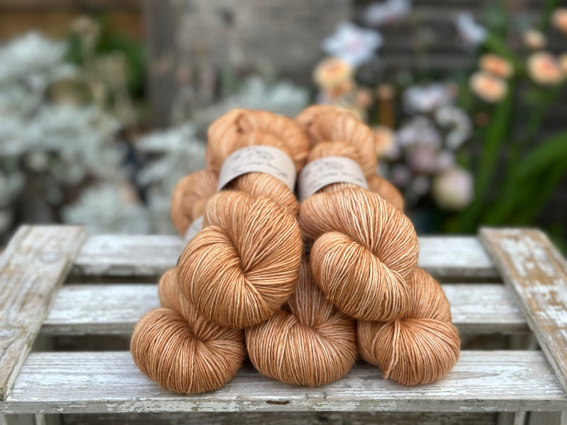 Carlisle Fingering in Falling Leaves (Dyelot 120925)