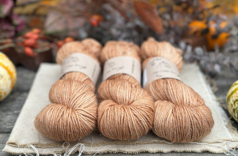 Silverdale DK in Falling Leaves (Dyelot 070825)