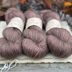 Silverdale DK in Compost