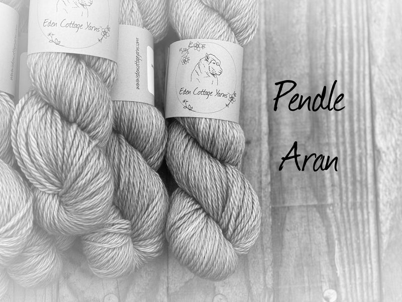 Dyed-to-order sweater quantities - Pendle Aran (100% superwash merino) hand dyed to order