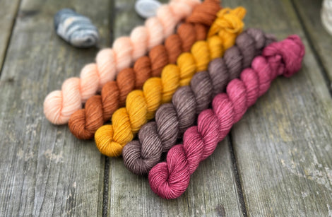 Five mini skeins of yarn. From left to right - a peachy orange skein, a reddish brown skein, a deep yellow skein, a brown skein and a reddish-purple skein