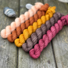 Five mini skeins of yarn. From left to right - a peachy orange skein, a reddish brown skein, a deep yellow skein, a brown skein and a reddish-purple skein
