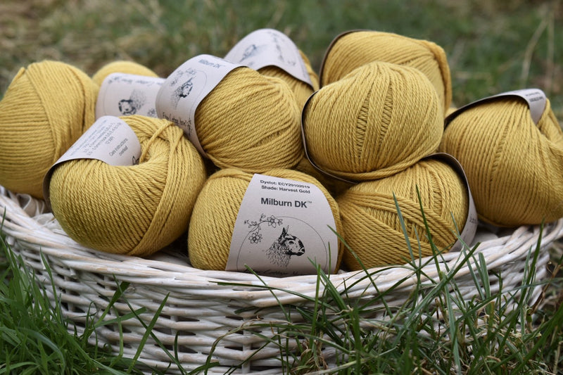 Milburn DK™ BFL/Silk in Harvest Gold (Dyelot 2023-A/2025A)