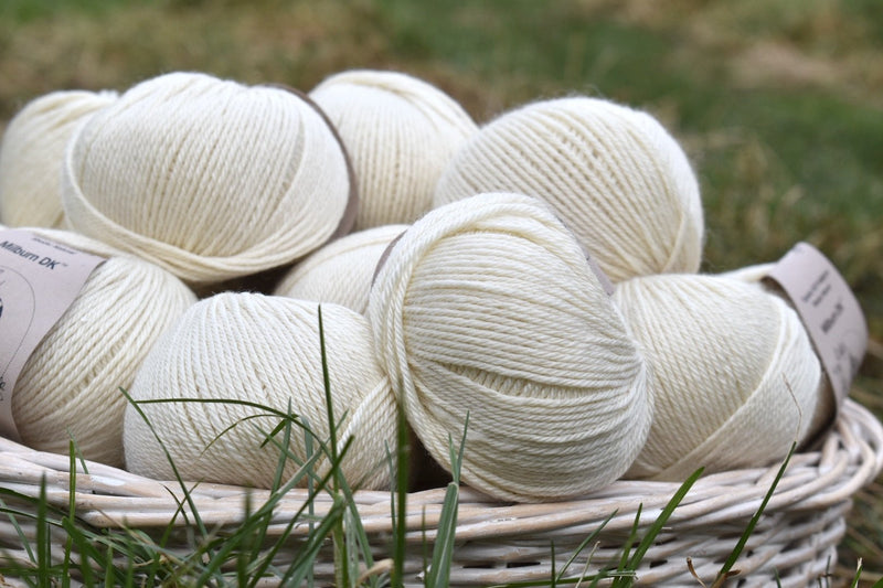 Milburn DK™ BFL/Silk in Natural (Dyelot 2025A)