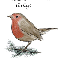 A graphic featuring a drawing of a robin on a fir branch with another fir tree sprig in the top right corner. Season's Greetings is written about the robin and www.edencottageyarns.co.uk is written below