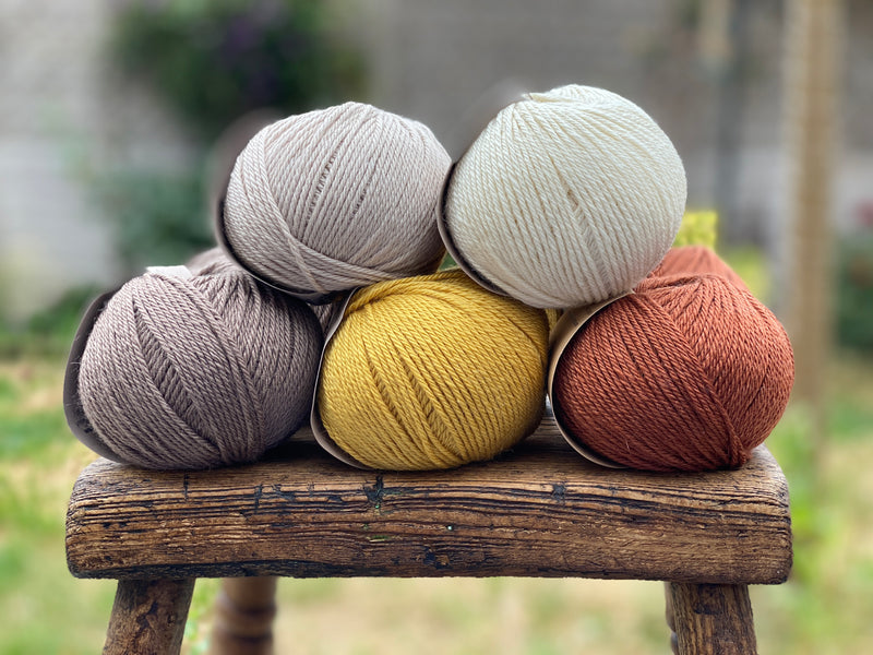 10 balls of yarn in five colours, a palette of browns