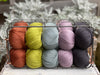 Five colour Milburn DK yarn pack -22 (1kg)