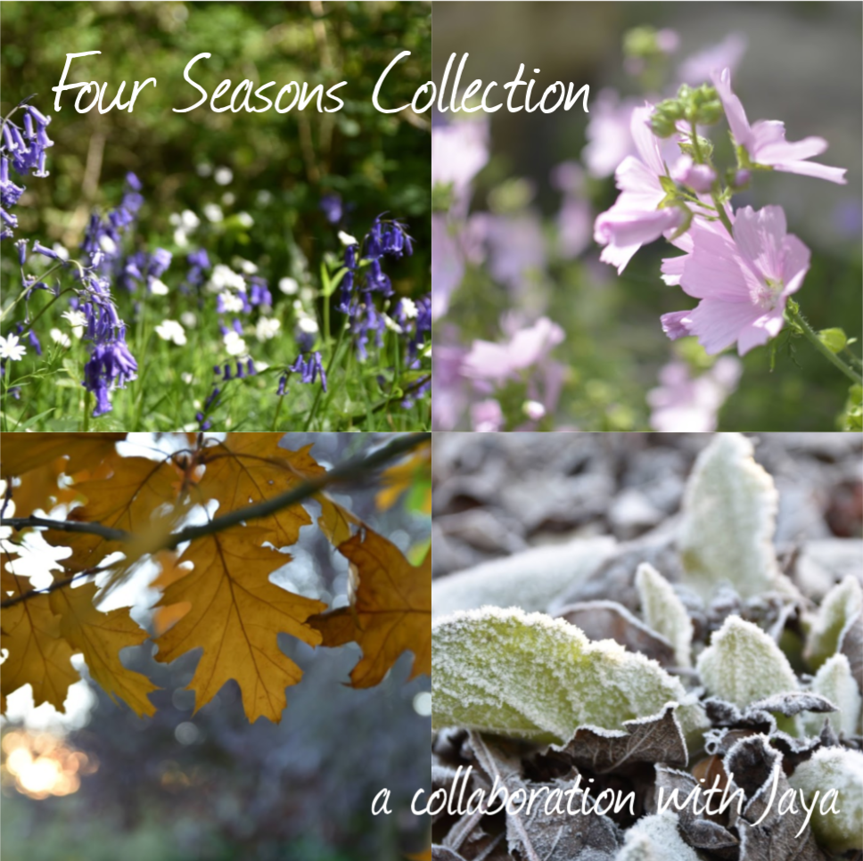 An Introduction to the Four Seasons Collection Subscription
