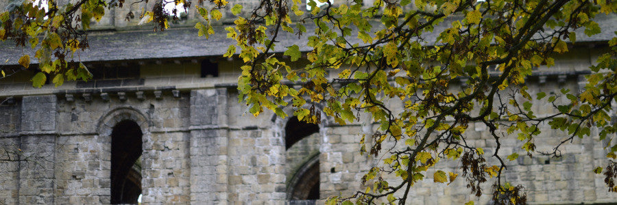 Kirkstall Abbey in November