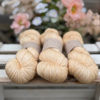 Titus 4ply in Whispering Grass (Dyelot 060826)