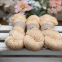 Titus Lace in Whispering Grass (Dyelot 240726)