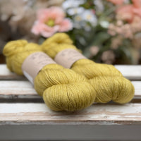 Titus 4ply in Hazel (Dyelot 070526)