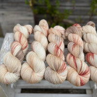 Silverdale 4ply in Dyepot Luck (Dyelot 100926)
