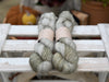 Titus 4ply in Autumn Fog (Dyelot 080926)
