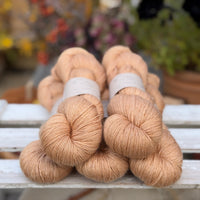 Titus 4ply in Falling Leaves (Dyelot 080926)