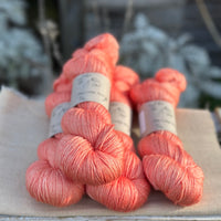 Titus 4ply in Rosehip (Dyelot 030226)