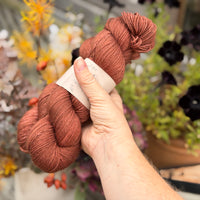 Brimham 4ply in Beech (Dyelot 220926)