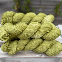 Silverdale 4ply in Fern (Dyelot 100926)