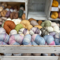 Brimham 4ply in Trans Rights are Human Rights (Dyelot 081026)