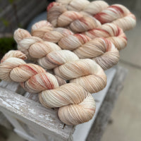 Silverdale 4ply in Dyepot Luck (Dyelot 100926)