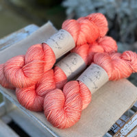 Titus 4ply in Rosehip (Dyelot 030226)