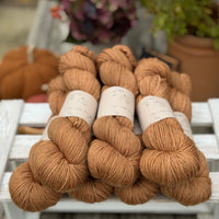Brimham DK in Twig (Dyelot 090926)