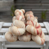 Silverdale 4ply in Dyepot Luck (Dyelot 100926)