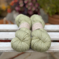 Titus 4ply in Coppice (Dyelot 080926)